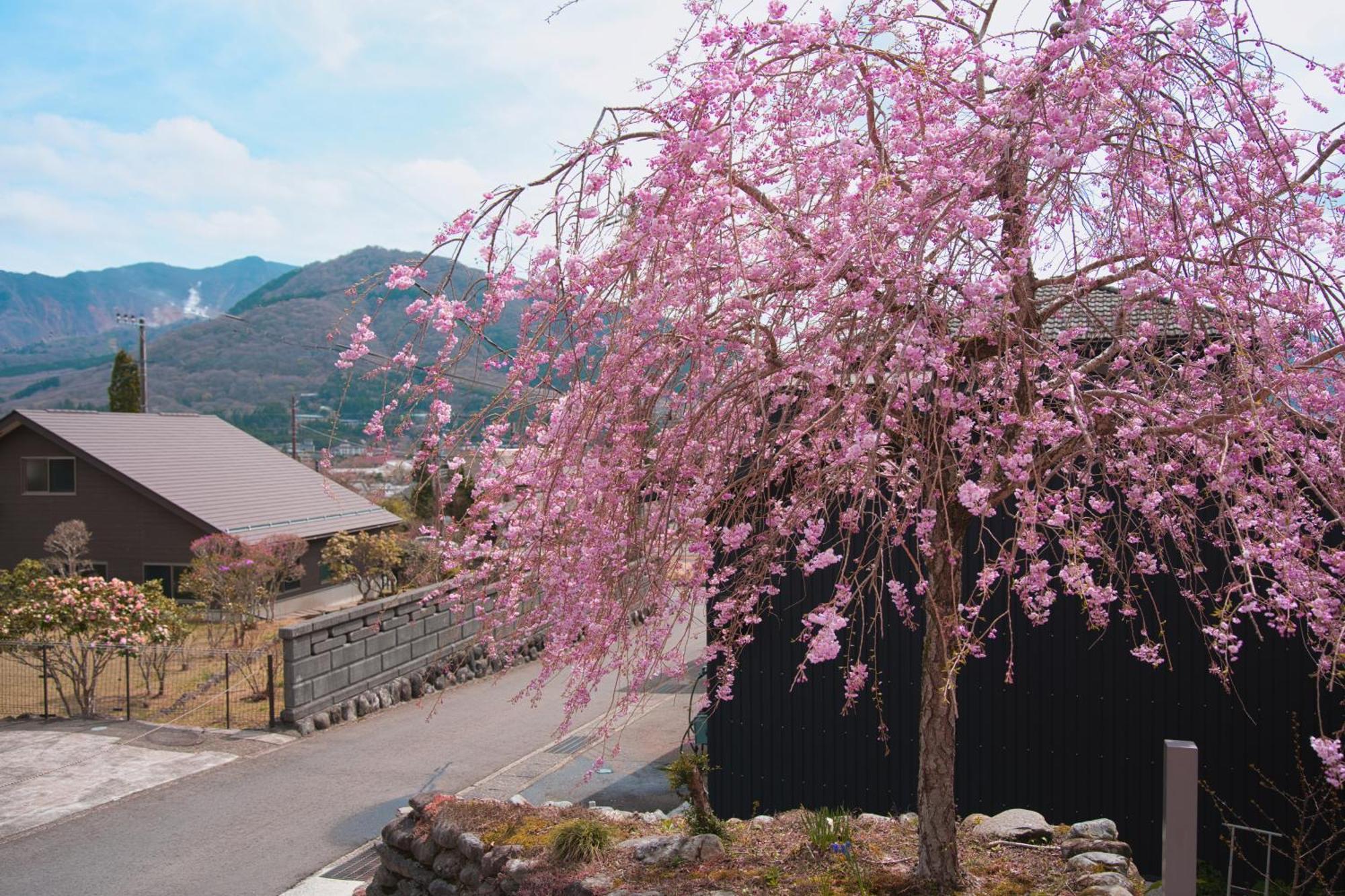 Root Hakone Hotel Exterior photo